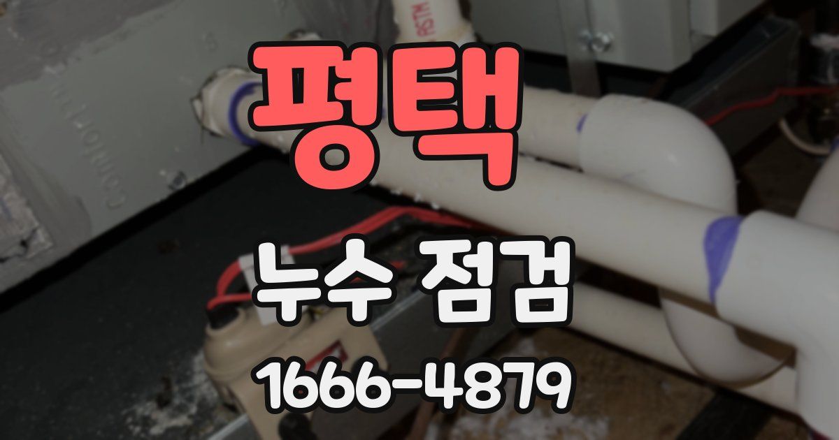 평택 누수 점검