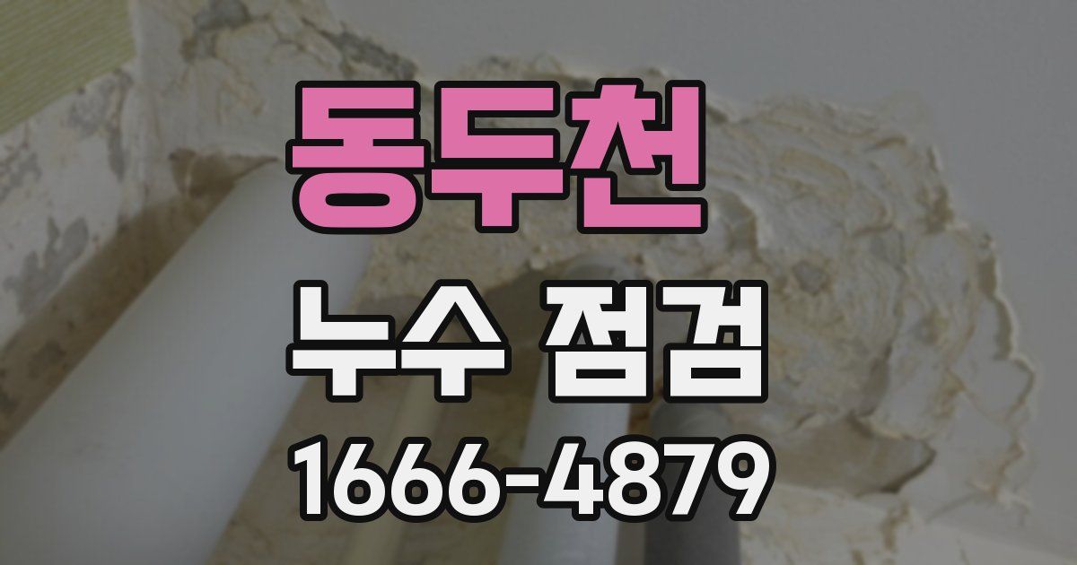 동두천 누수 점검