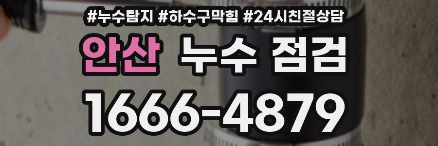 안산 누수 점검