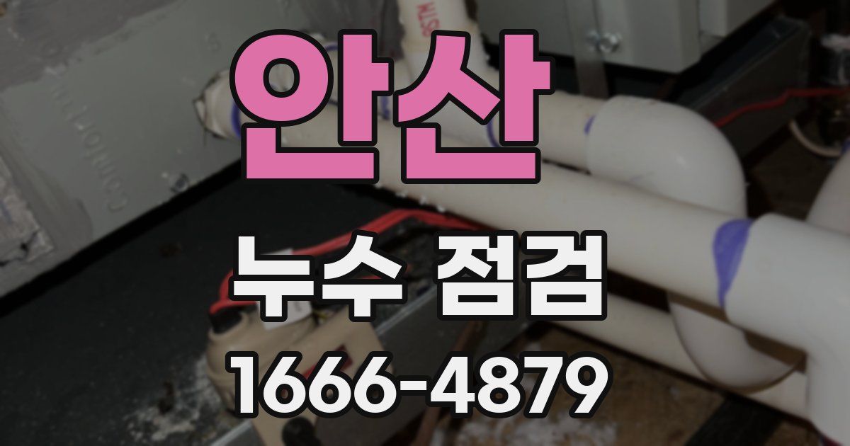 안산 누수 점검