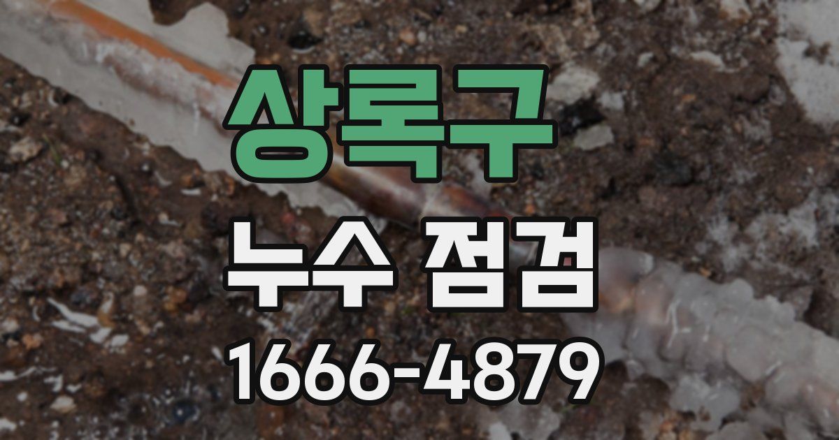 상록구 누수 점검