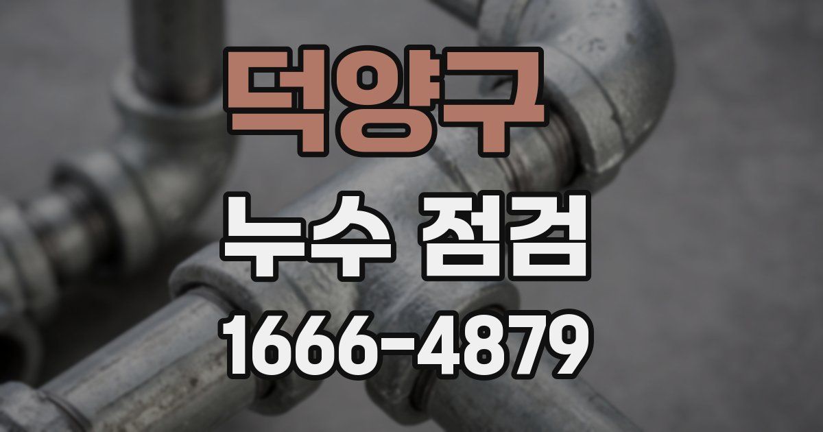 덕양구 누수 점검