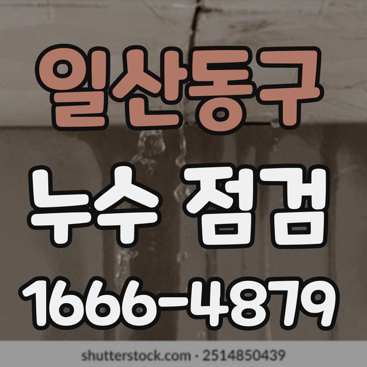 일산동구 누수 점검