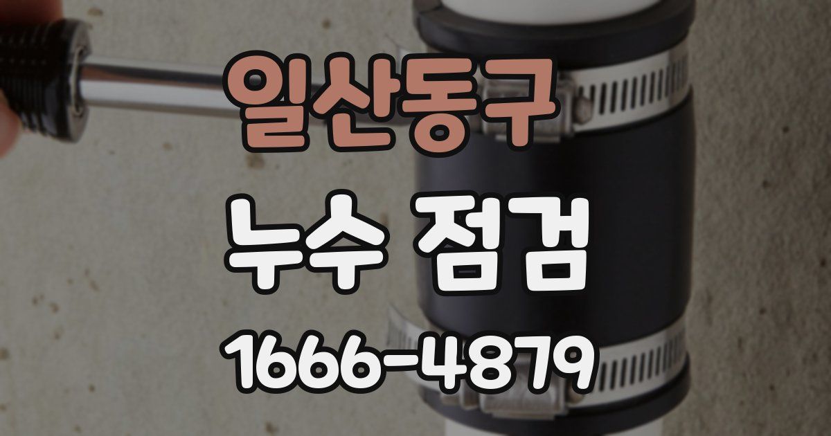 일산동구 누수 점검