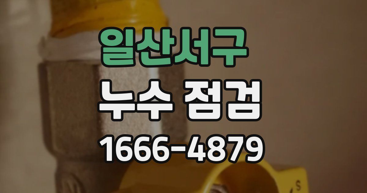 일산서구 누수 점검