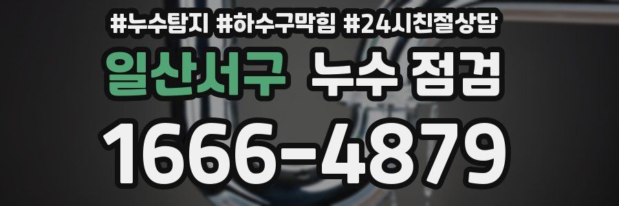 일산서구 누수 점검