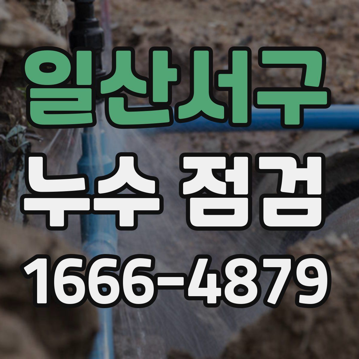 일산서구 누수 점검