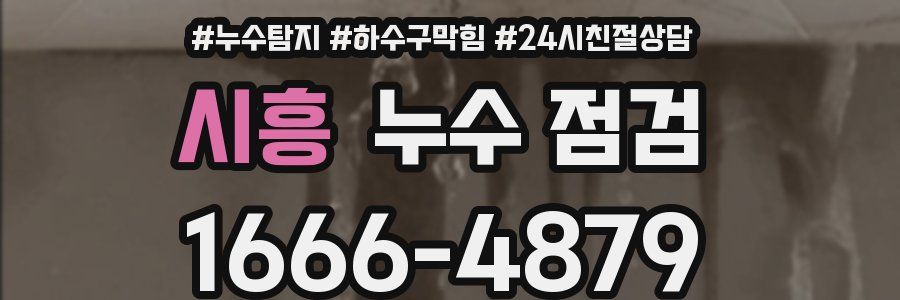 시흥 누수 점검