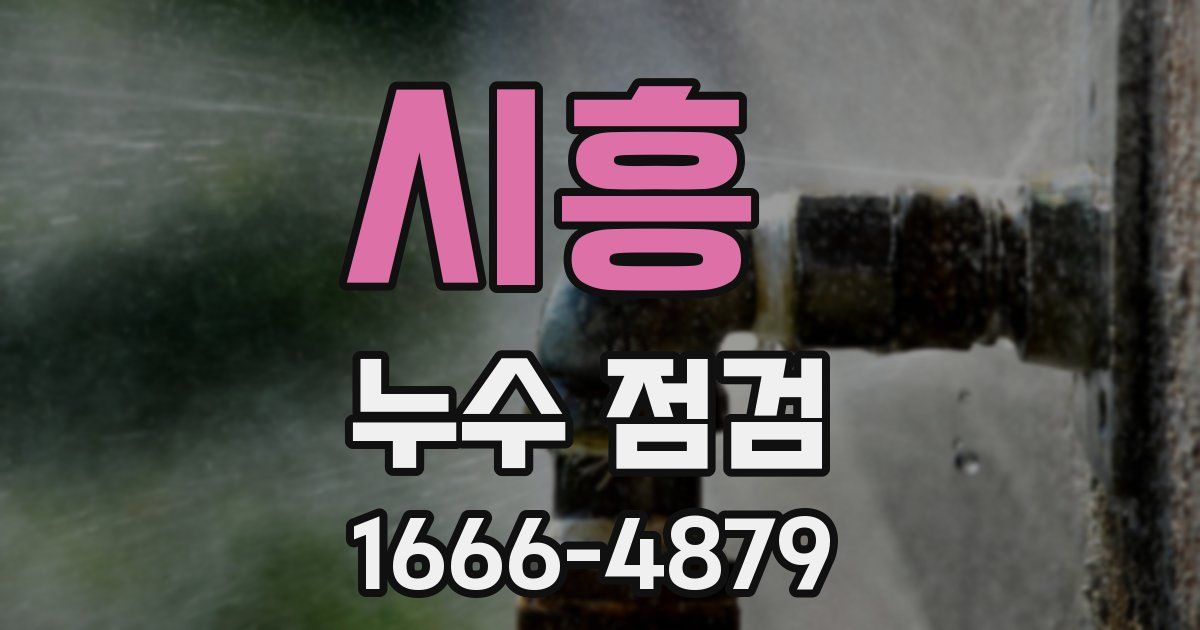 시흥 누수 점검