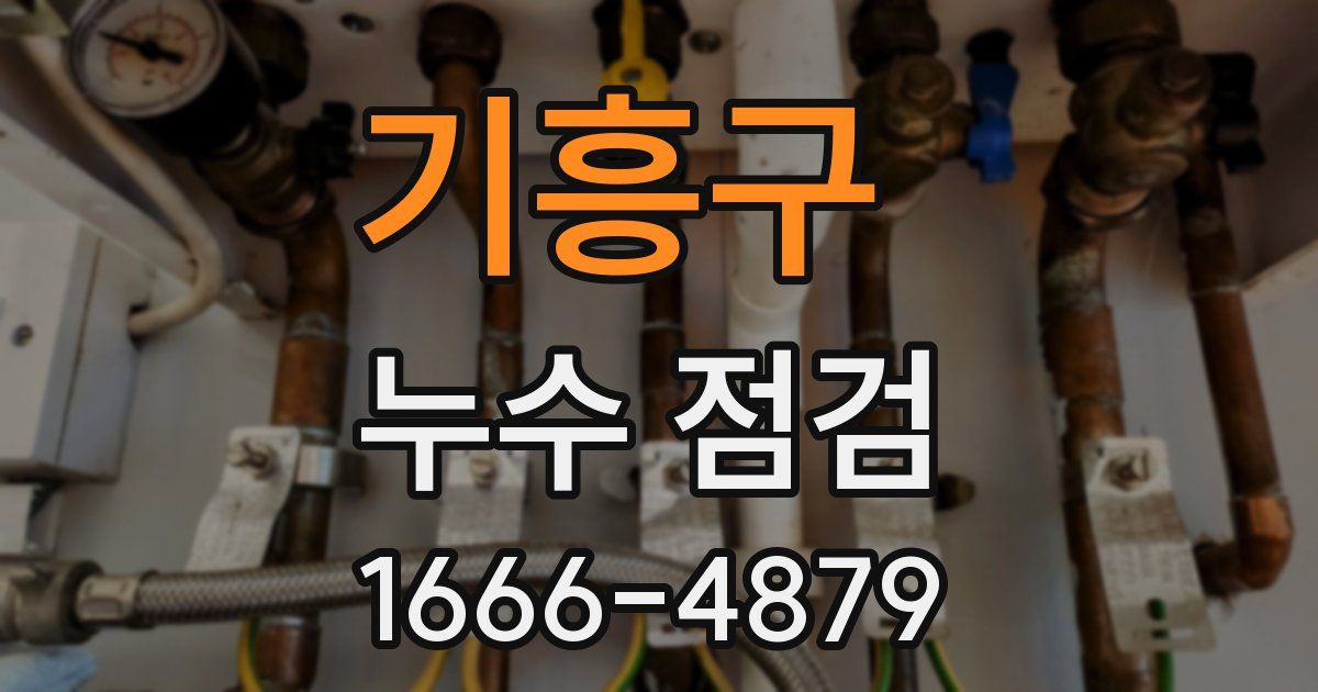 기흥구 누수 점검