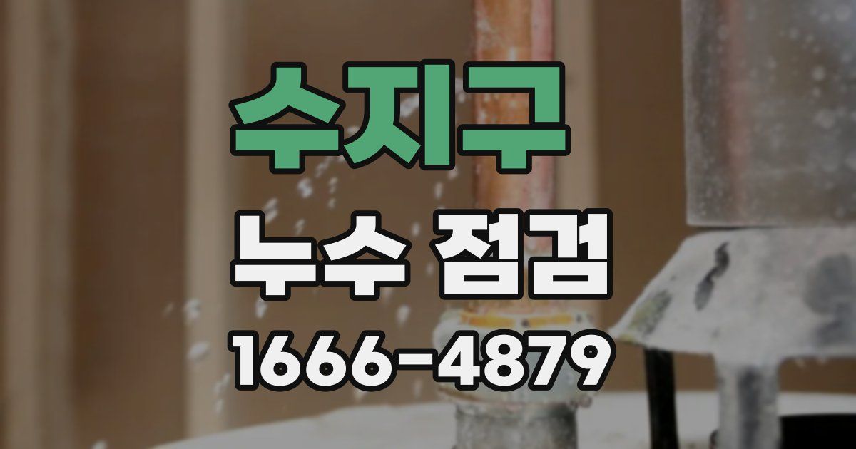 수지구 누수 점검