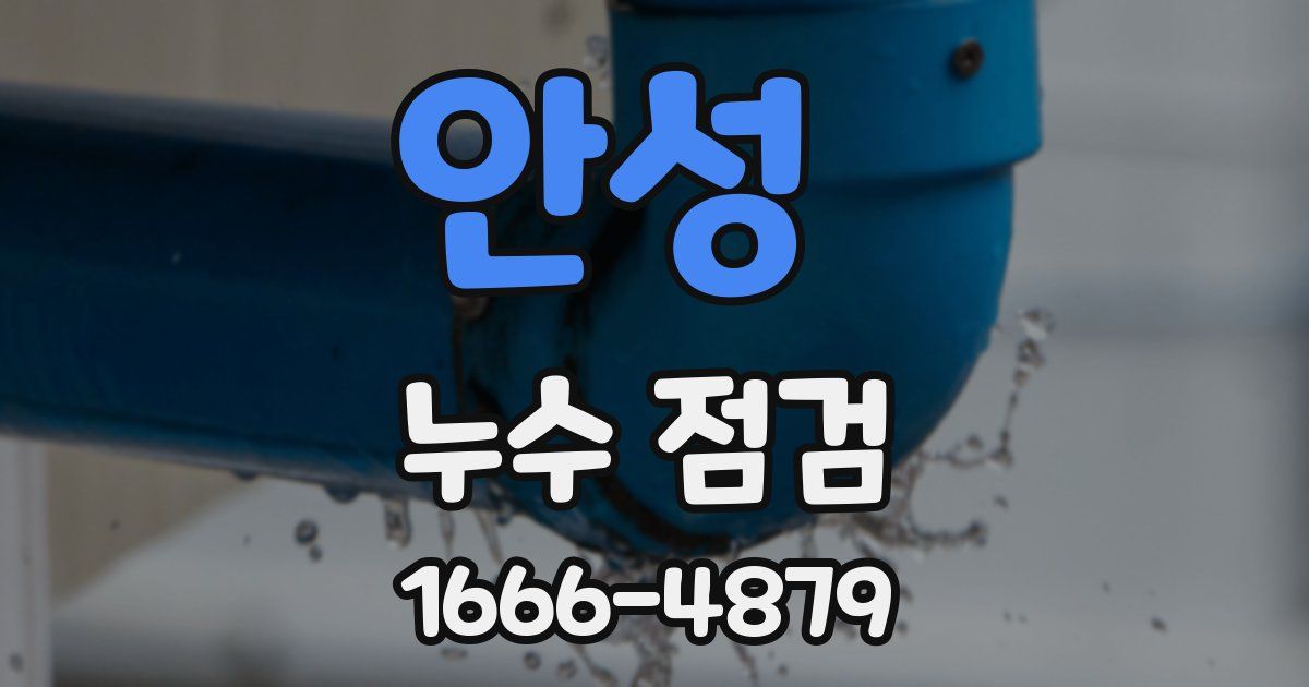 안성 누수 점검