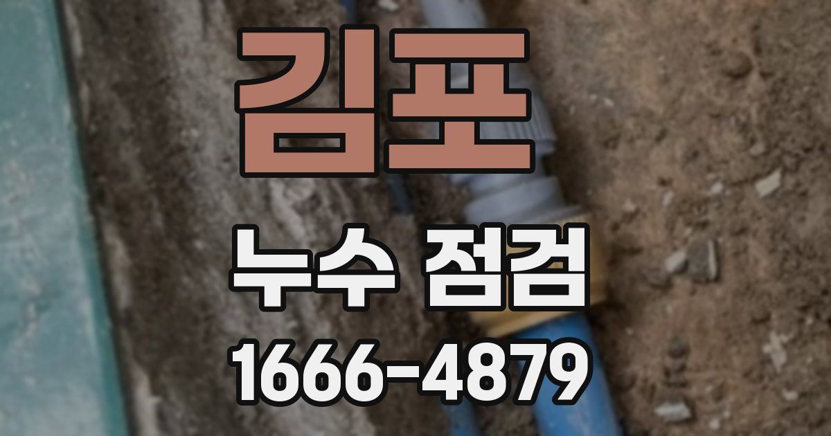 김포 누수 점검