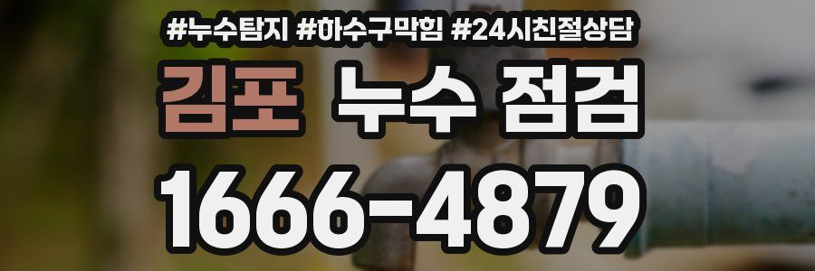 김포 누수 점검