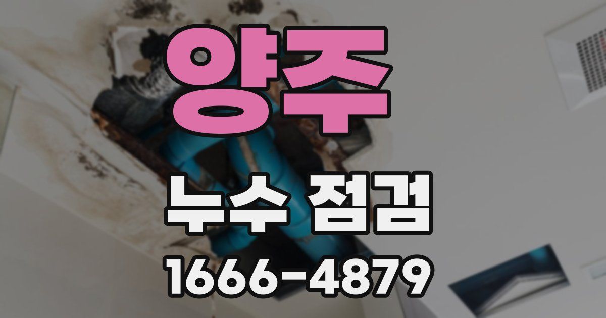 양주 누수 점검
