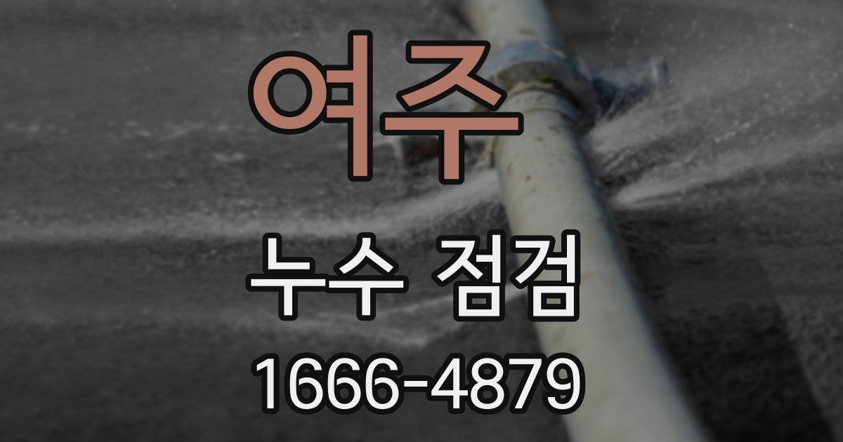 여주 누수 점검