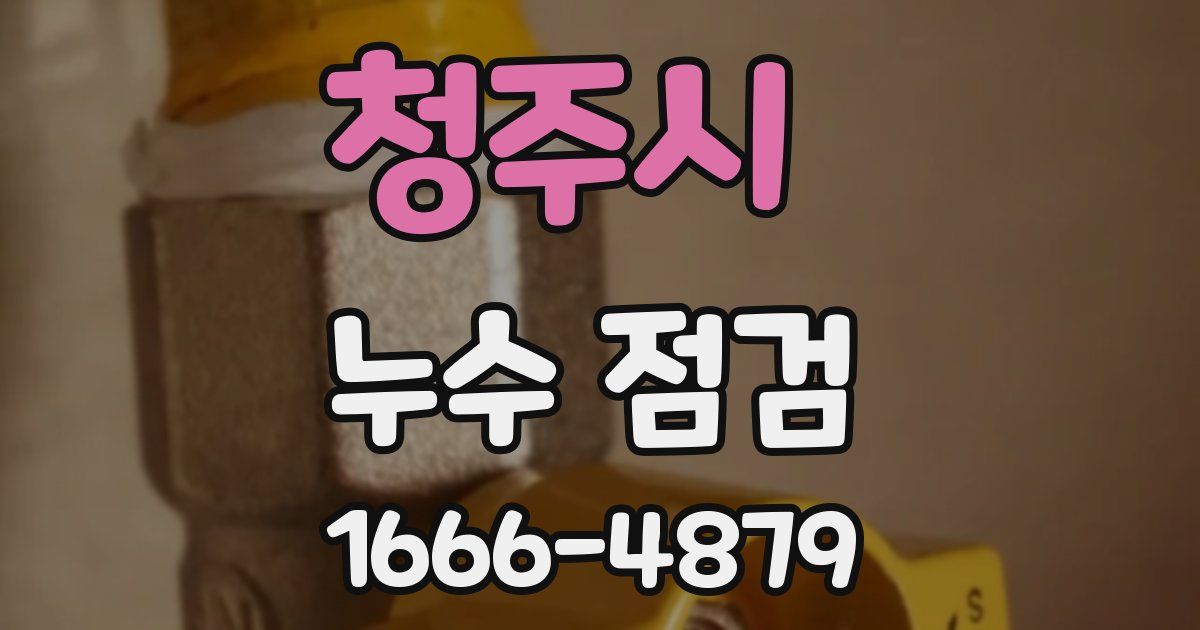 청주시 누수 점검