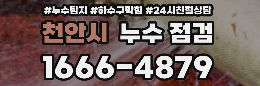 천안시 누수 점검