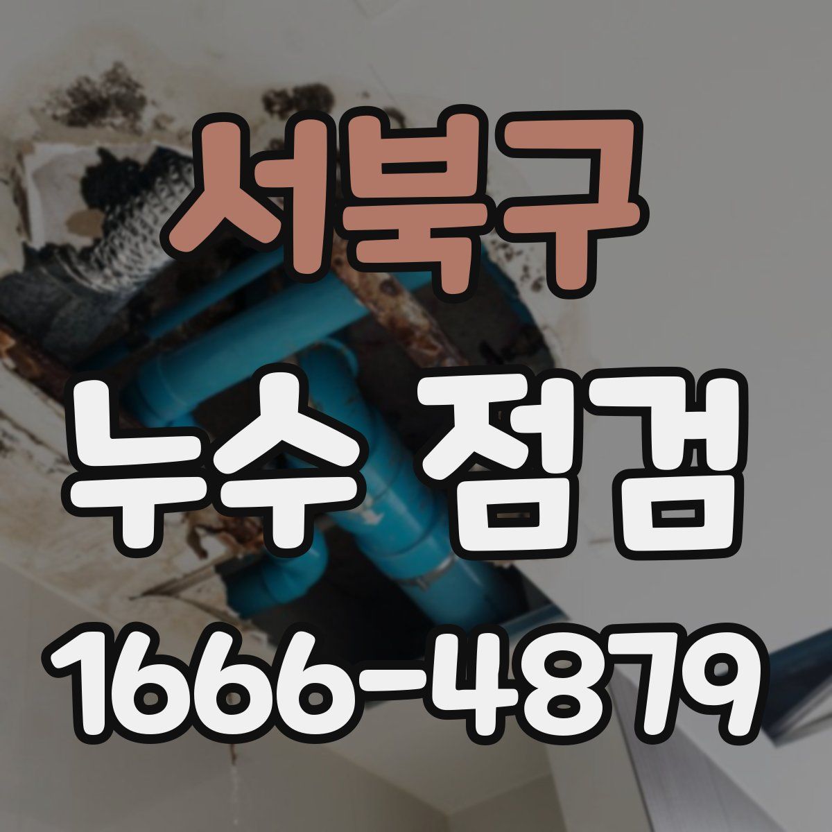 서북구 누수 점검