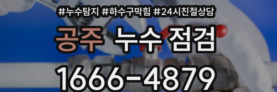 공주 누수 점검