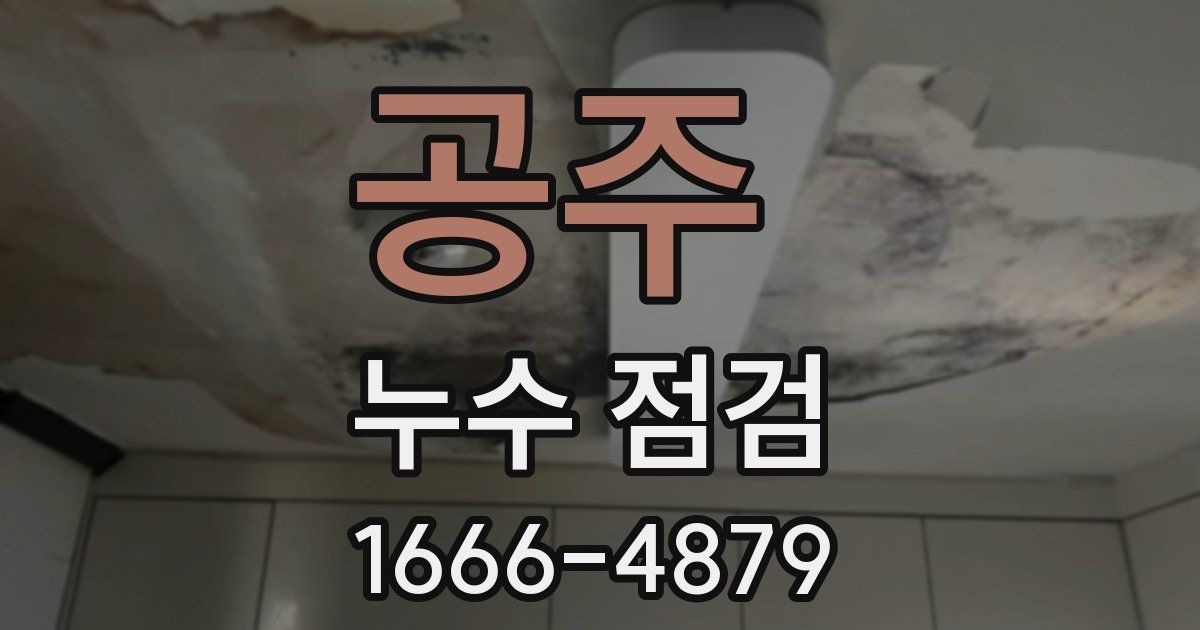 공주 누수 점검