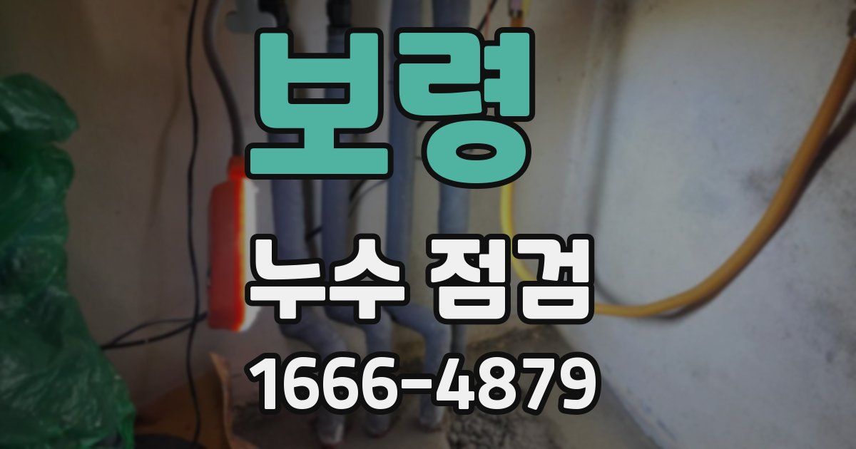 보령 누수 점검