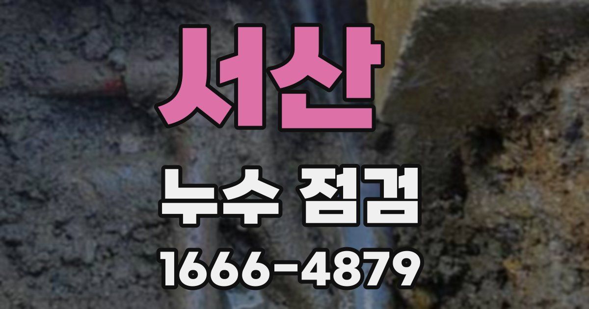 서산 누수 점검