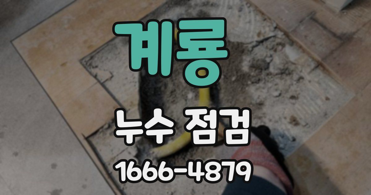 계룡 누수 점검