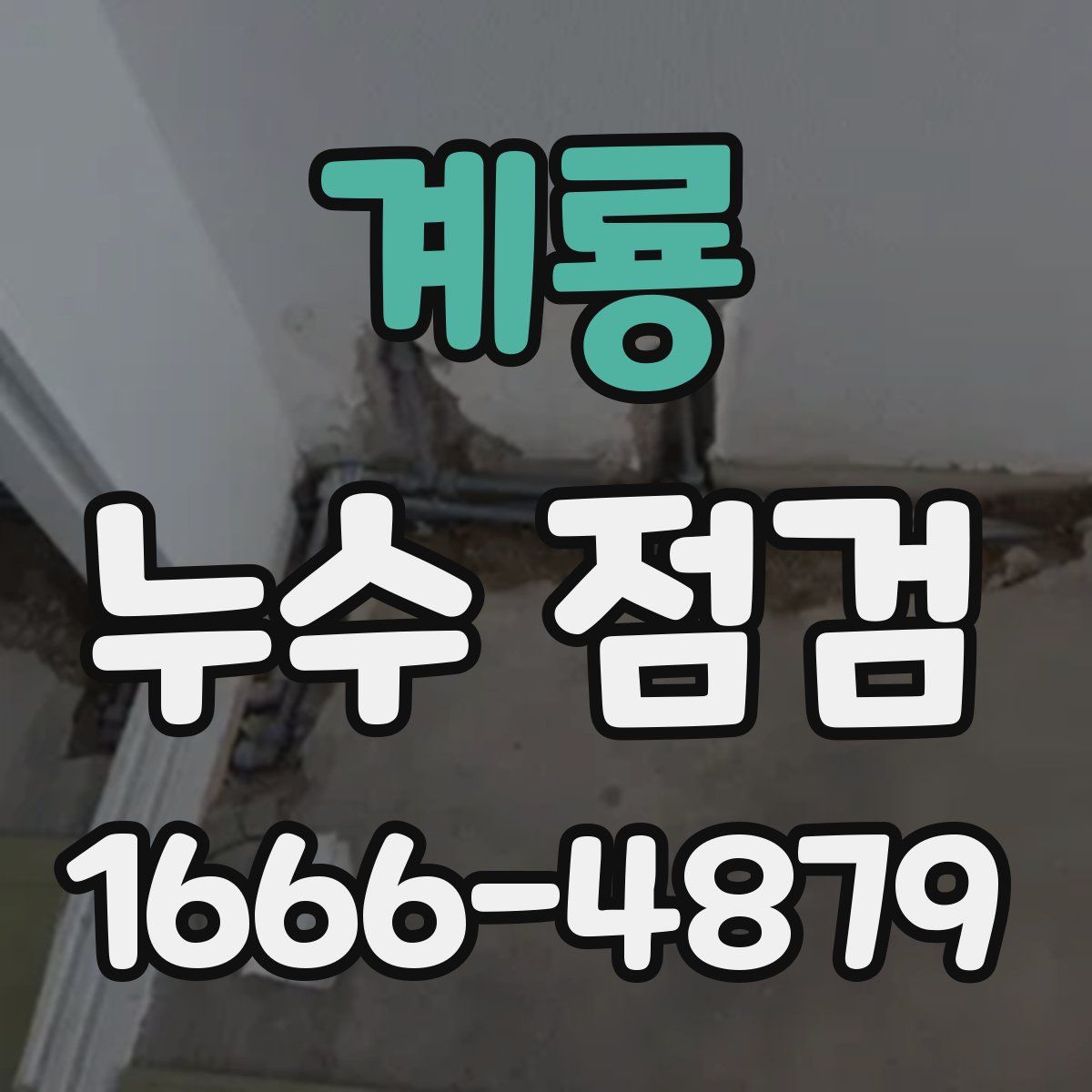 계룡 누수 점검
