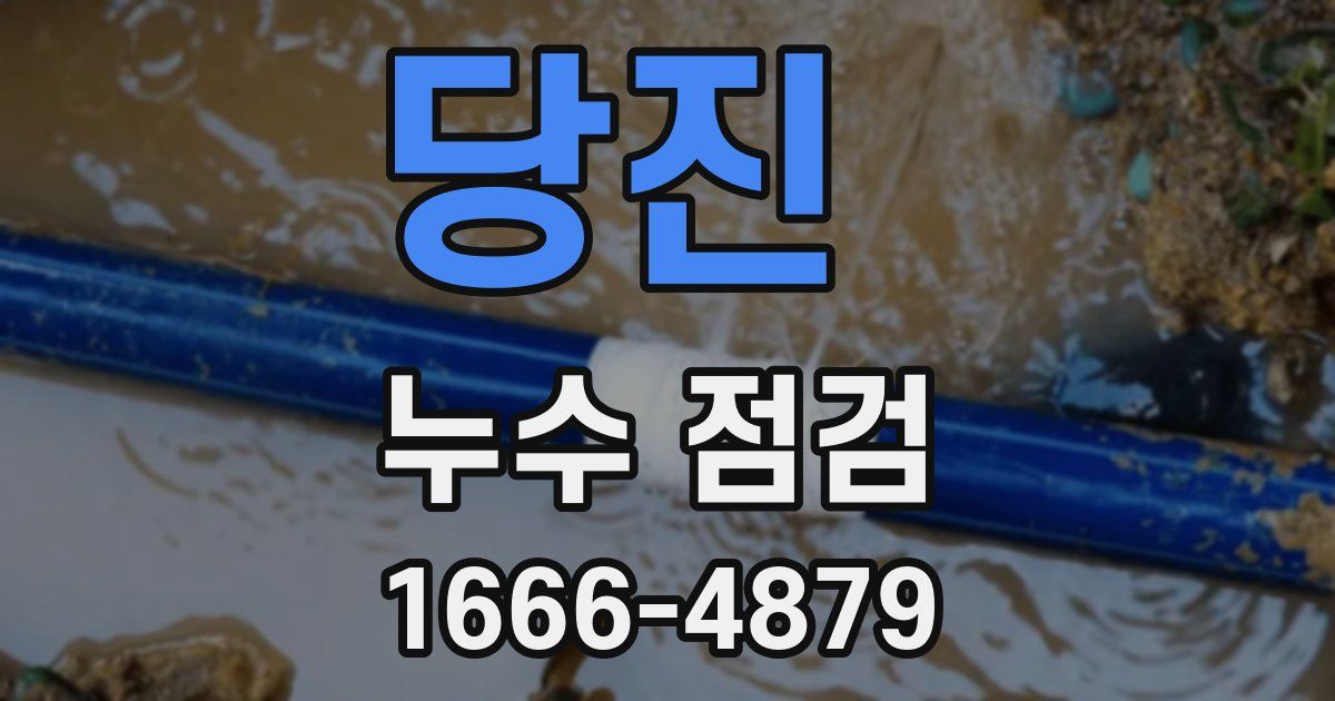 당진 누수 점검