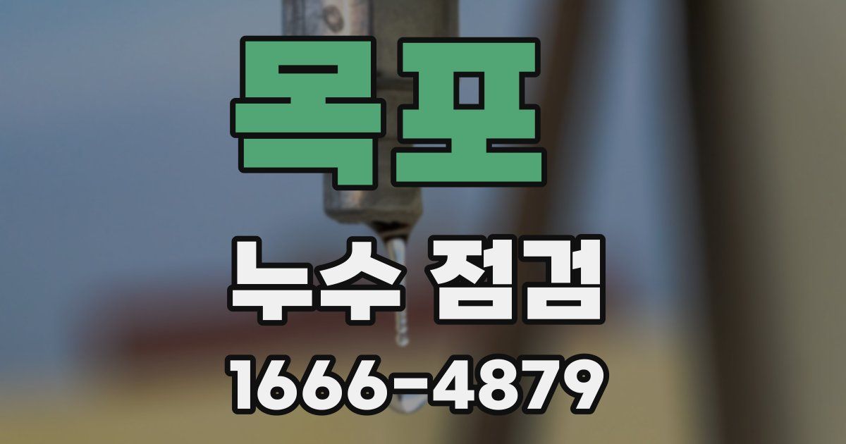 목포 누수 점검