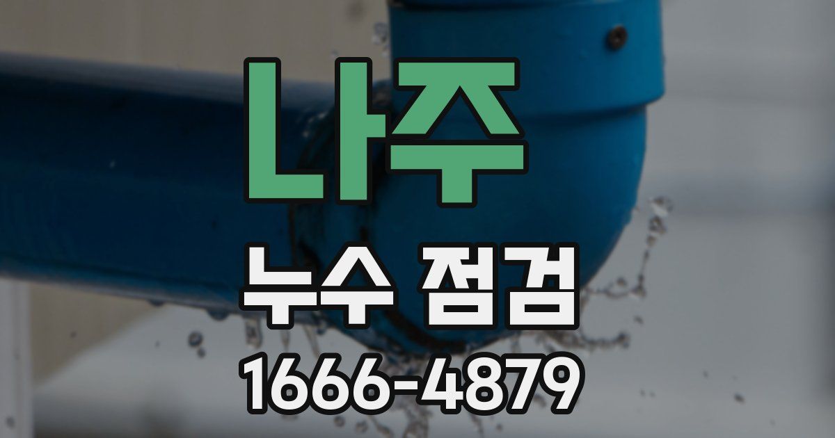 나주 누수 점검