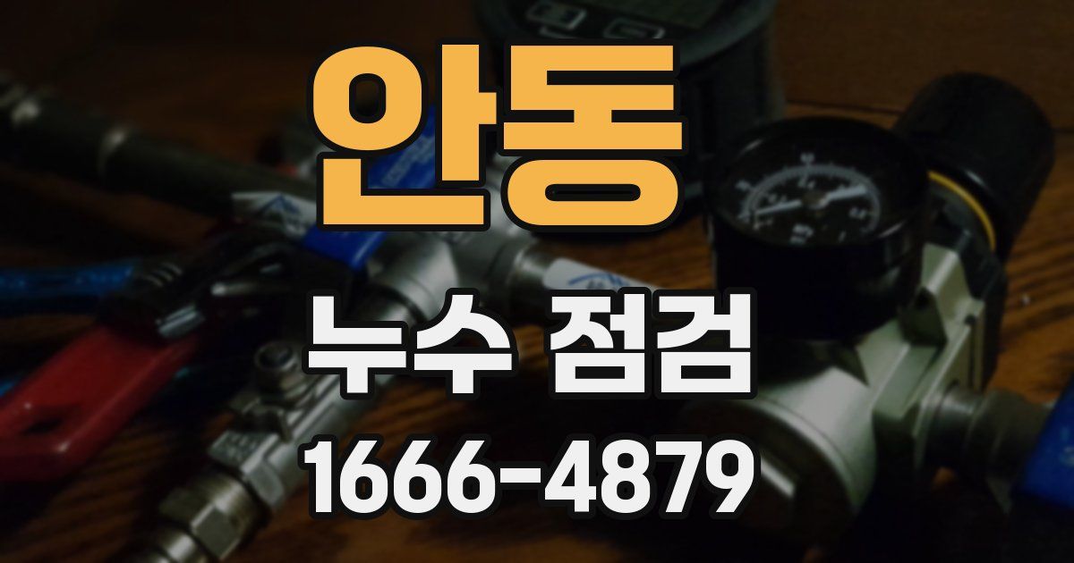 안동 누수 점검