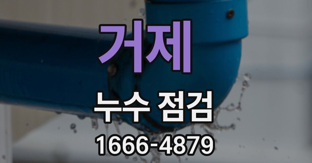 거제 누수 점검