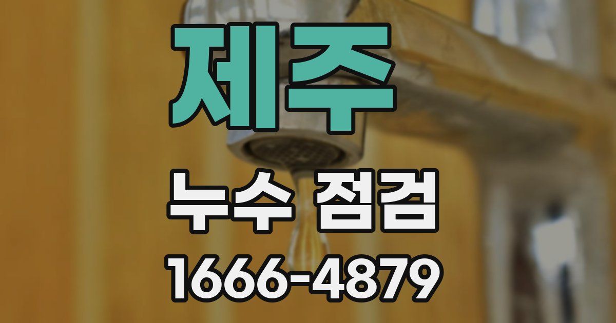 제주 누수 점검