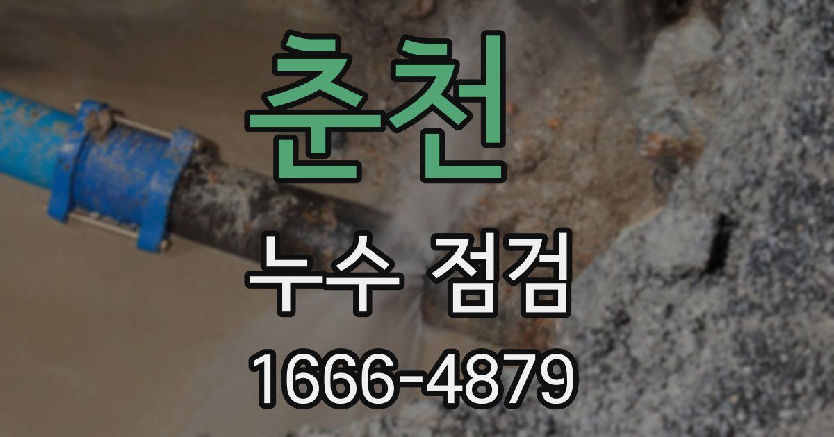 춘천 누수 점검