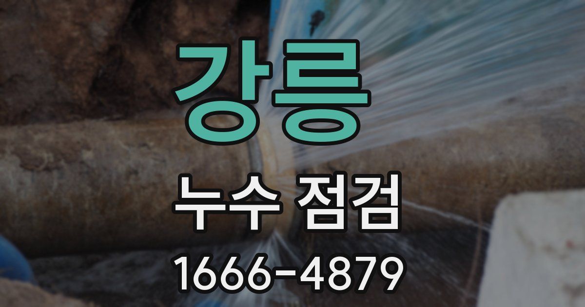 강릉 누수 점검