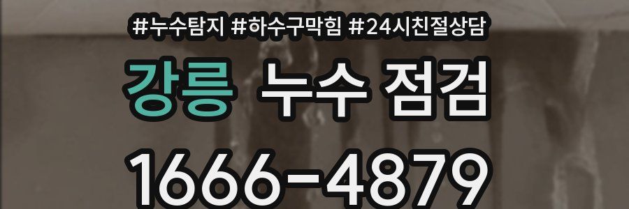 강릉 누수 점검