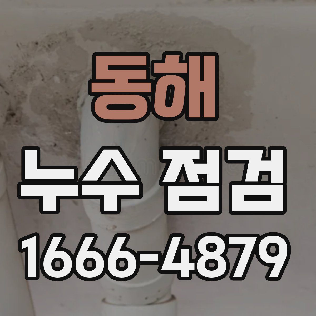 동해 누수 점검