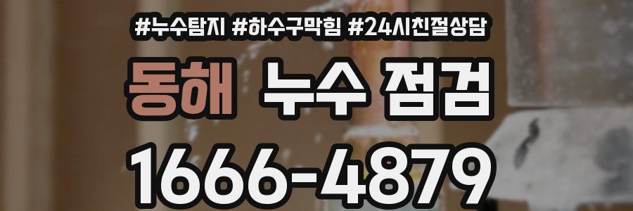 동해 누수 점검