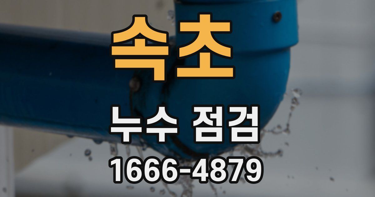 속초 누수 점검