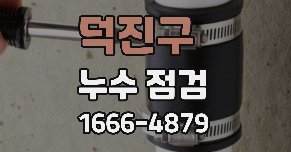 덕진구 누수 점검