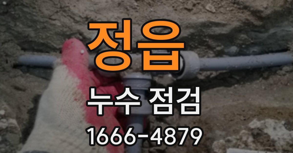 정읍 누수 점검
