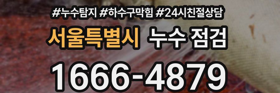 서울특별시 누수 점검