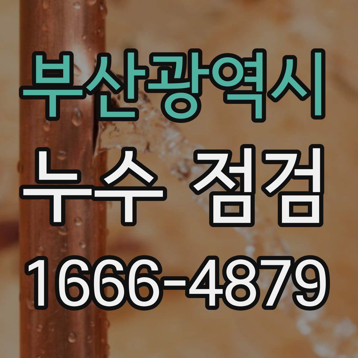 부산광역시 누수 점검
