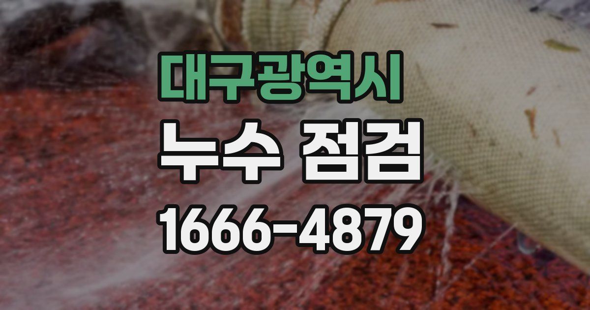 대구광역시 누수 점검