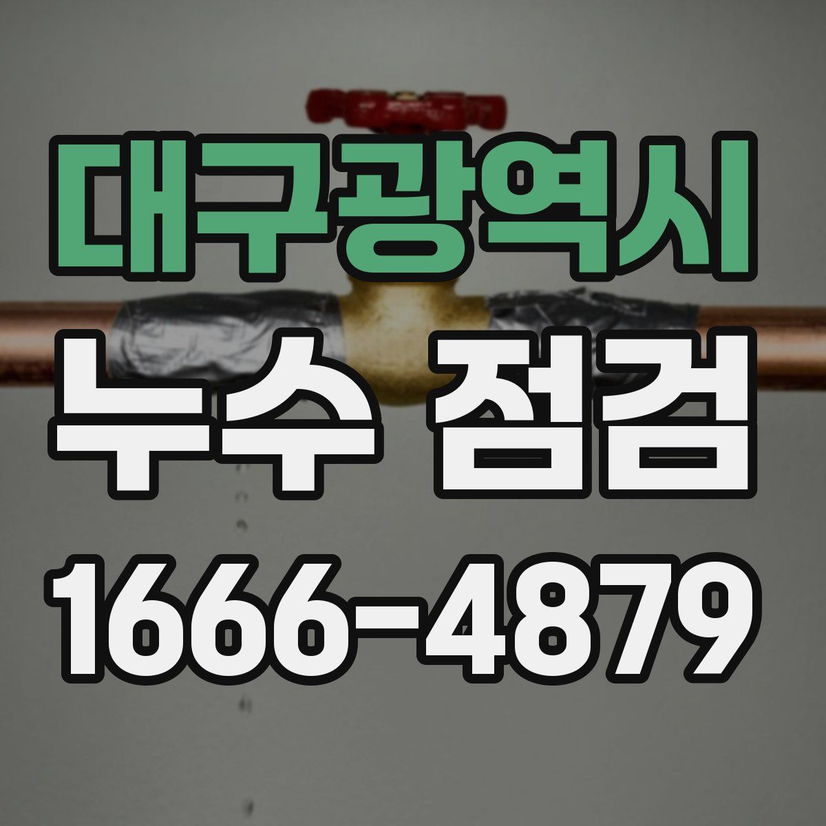 대구광역시 누수 점검