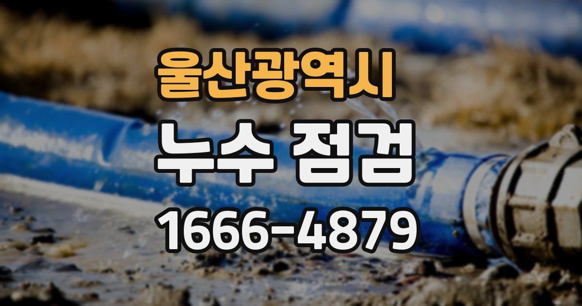 울산광역시 누수 점검
