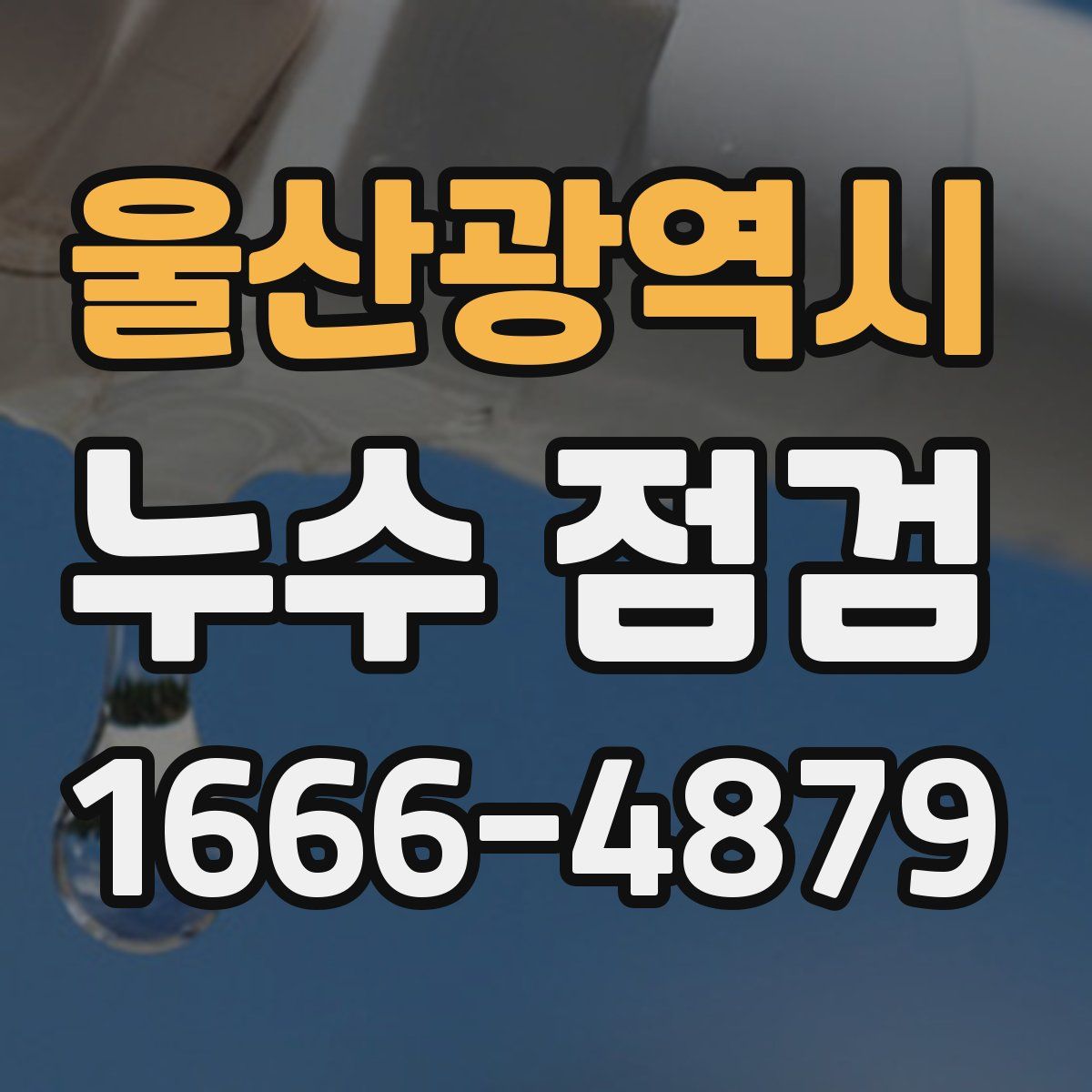 울산광역시 누수 점검