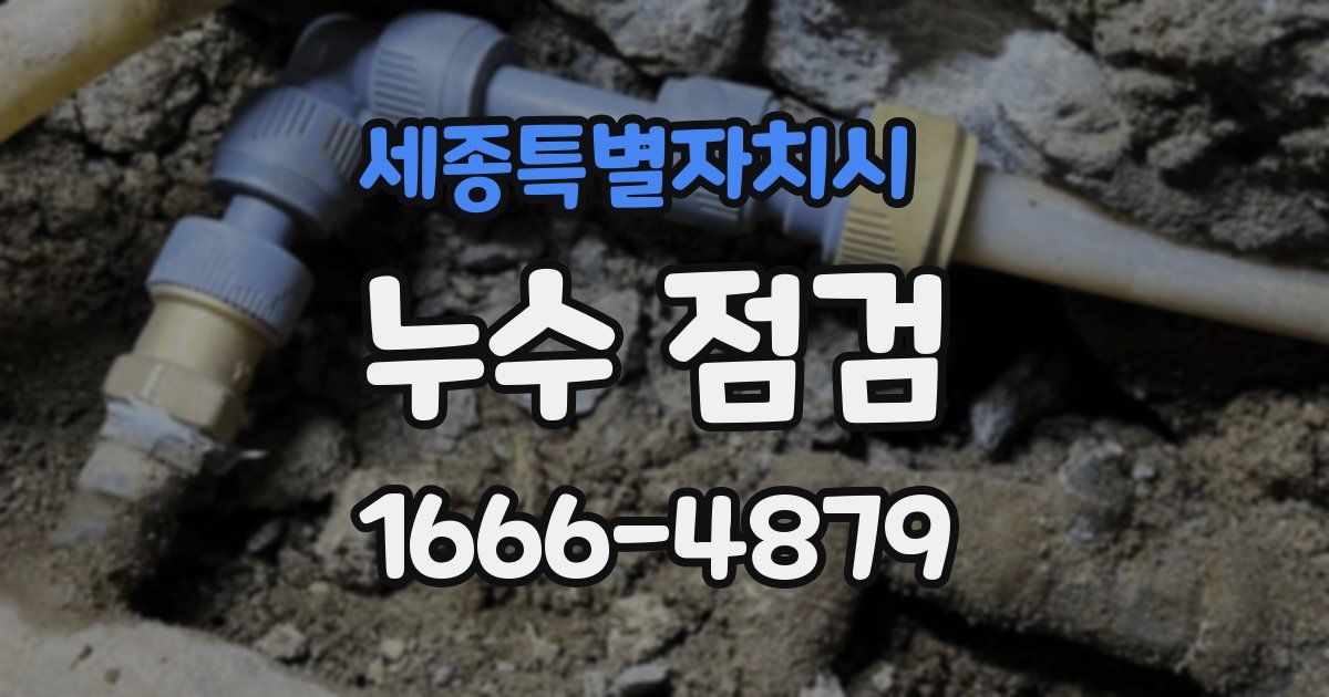 세종특별자치시 누수 점검